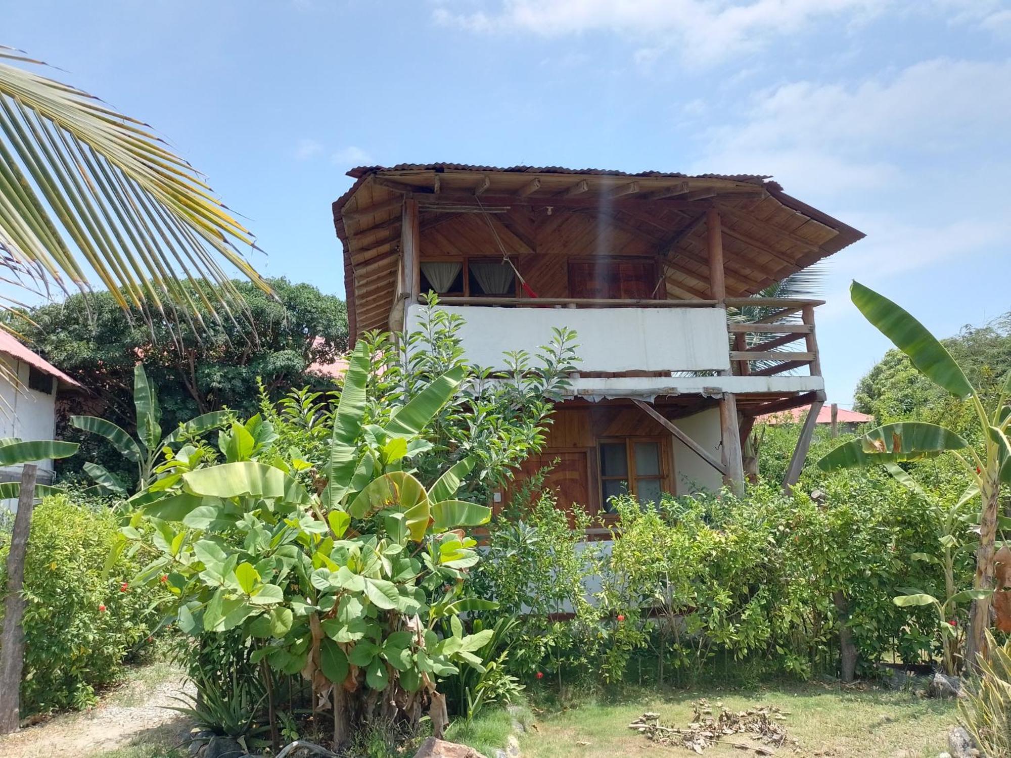 Hotel Palma Coco Ayampe Ngoại thất bức ảnh