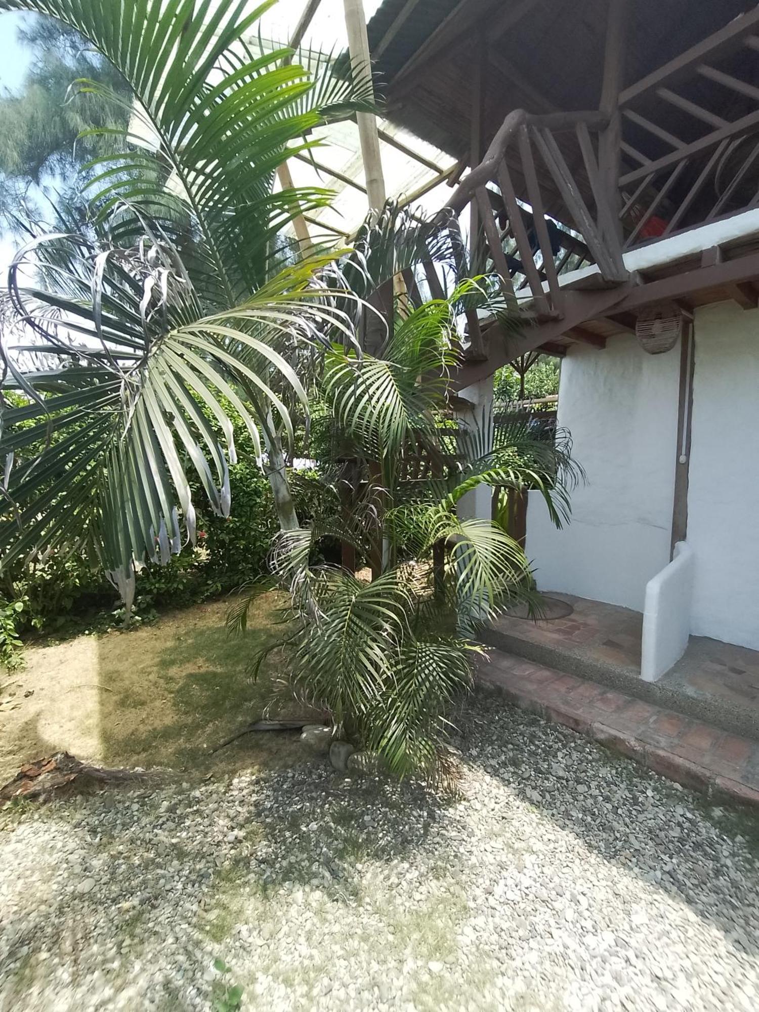 Hotel Palma Coco Ayampe Ngoại thất bức ảnh