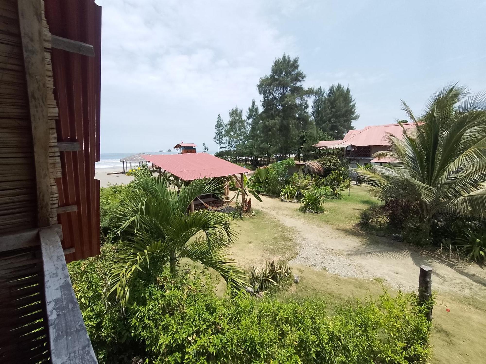 Hotel Palma Coco Ayampe Ngoại thất bức ảnh